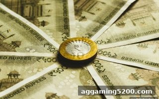 体育投注站USDT提现审核全攻略：状态查询与骰宝大小策略深度解析