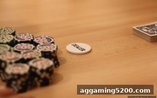 龙虎游戏制胜之道：体育投注站玩家必知的概率、提款与实战技巧