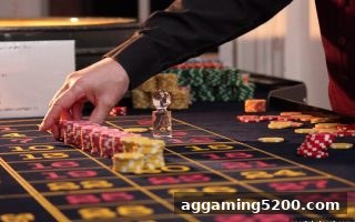 体育投注站：闲庄玩法与即时比分深度策略解析