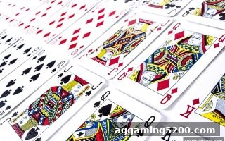 读懂对手才是赢家：体育投注站玩家必备的真人互动分析指南