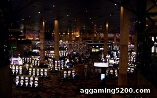 体育投注站的智慧映射：桌游中信息不对称的深度策略解析