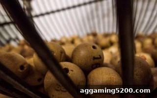 时时彩冷热号解密：体育投注站玩家必看的数据分析策略