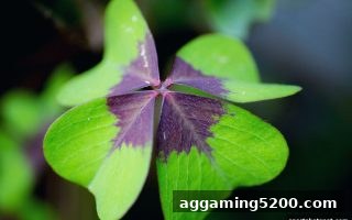深度解析彩票中奖号码分析：体育投注站为您揭示统计规律