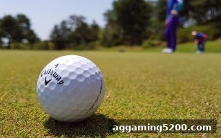 LOL直播数字组合玩法解析：体育投注站视角下的概率与策略
