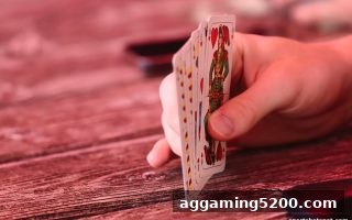 体育投注站：报牌频率量化分析，解锁首存优惠最优策略