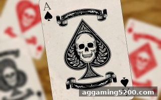 OG真人平台胜率与玩家回报率深度剖析：体育投注站的数据洞察
