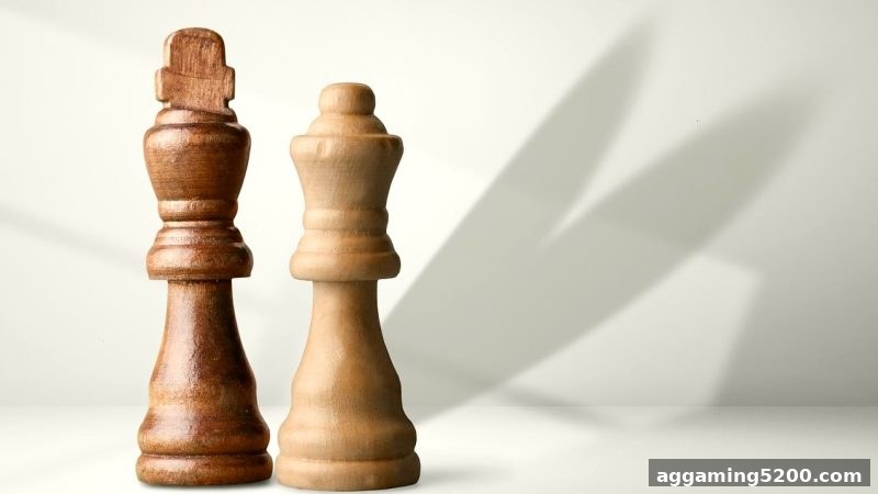 体育投注站带你深度解锁国际象棋：从零到高手的系统训练指南