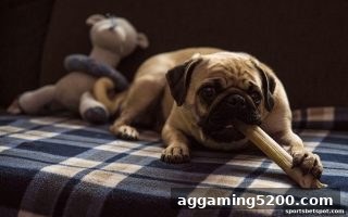 体育投注站签到奖励全解析：每日任务、连续累积与CSGO竞猜联动策略