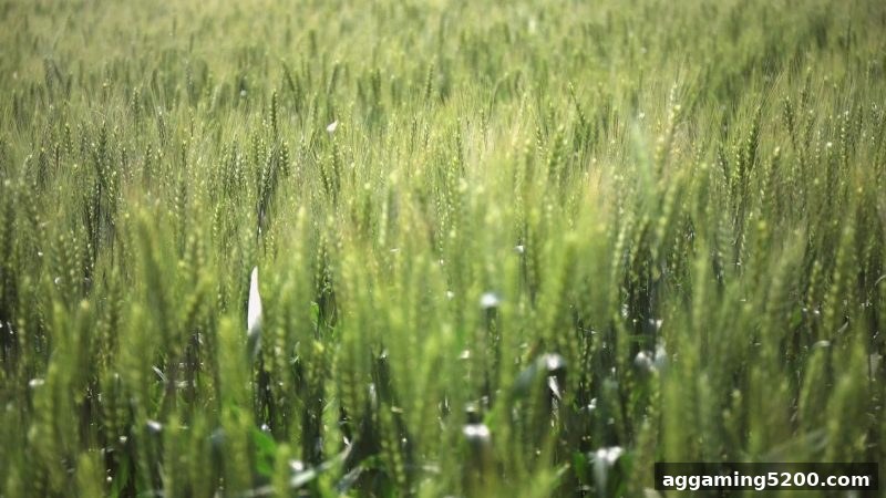 体育投注站洗码返利机制：如何精准计算与提升你的额外回报？