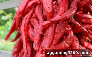 体育投注站新手福利全攻略：注册门槛与参与方式深度解读