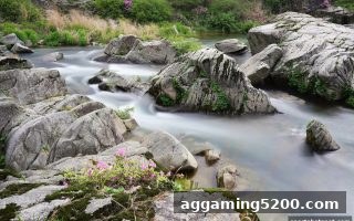 波胆预测深度解析：体育投注站玩家如何利用USDT实现高效比分竞猜与资金管理